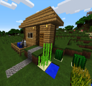 World Craft